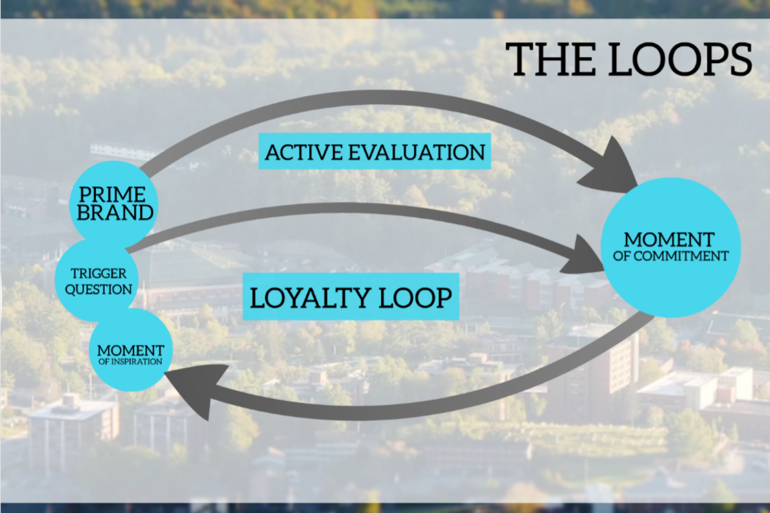 Loyalty Loop